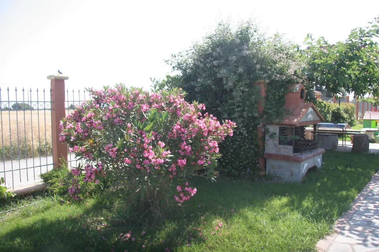 Daniel Studios Kallithea  Grækenland